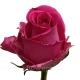 роза Топаз