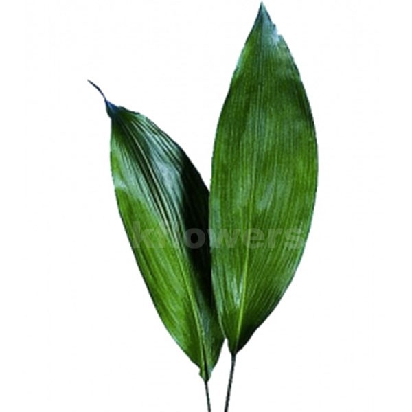 Берграс зеленый (6 шт в уп) 1936 - искусственные растения